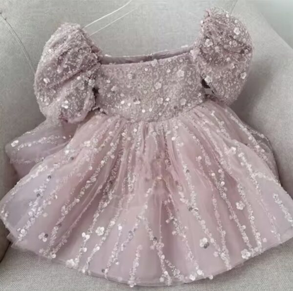 Itty Bitty Pink Embellished Sequin Dress